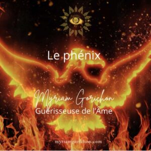 🔥🌿🕊️ Trilogie Vibratoire de Guérison — Le chemin initiatique du Phénix